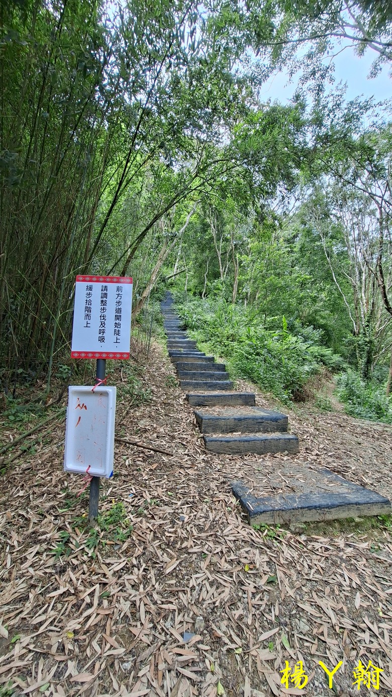 【郊山走走】走上山,近於水:登上戰略要地枕頭山,探尋依山傍水的薑母島