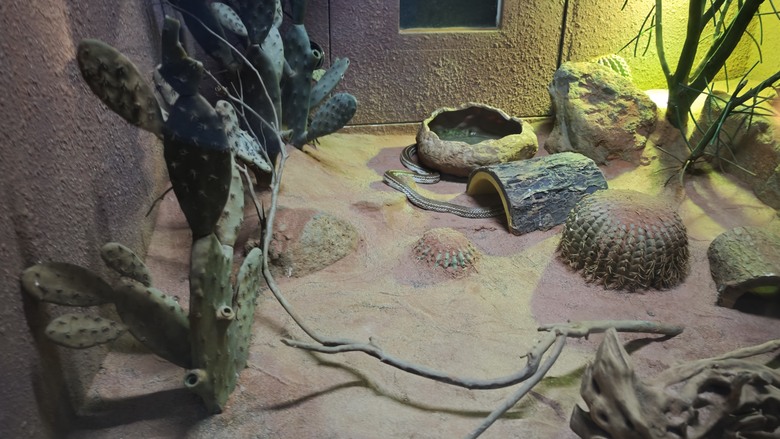 另類的父親節 - 台北市立動物園 "夜之動物園" 遊記分享~