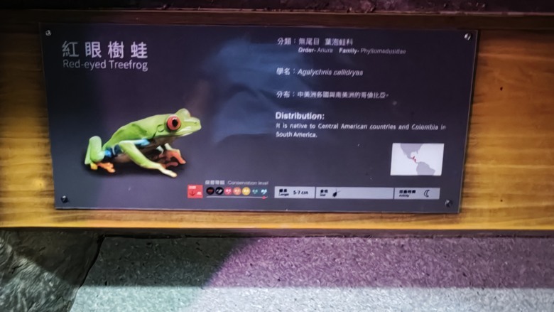 另類的父親節 - 台北市立動物園 "夜之動物園" 遊記分享~