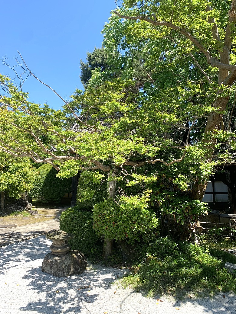 點我看大圖 <日本>2024~仙台體育館排球少年聖地巡禮、松音寺、仙台商店街魚板老店