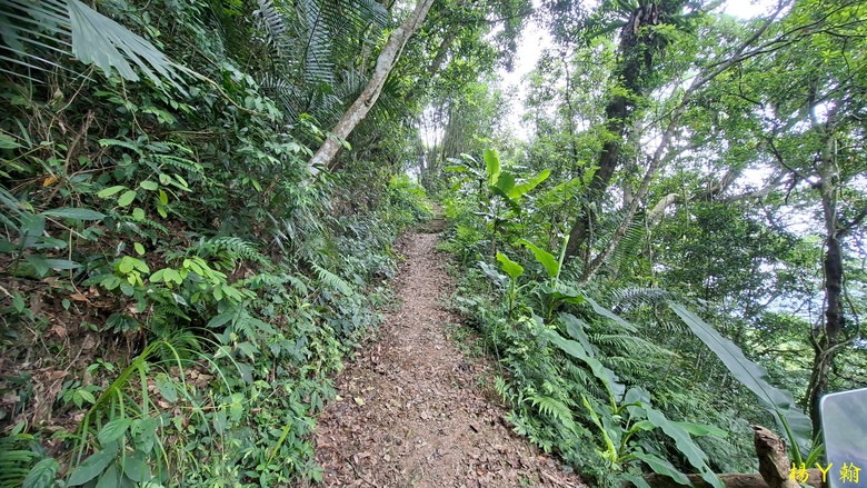 【郊山走走】走上山,近於水:登上戰略要地枕頭山,探尋依山傍水的薑母島