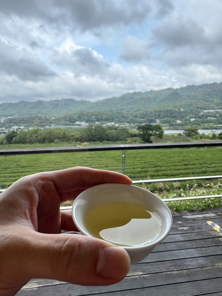 銅鑼半日遊懶人包！走進最 Chill 的綠意茶廠品茗，再爆吃超高 CP 值在地美食！
