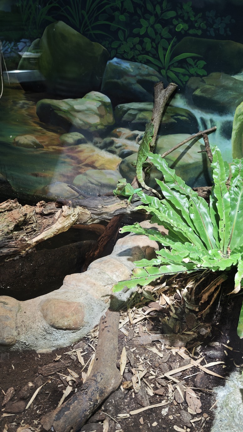 另類的父親節 - 台北市立動物園 "夜之動物園" 遊記分享~