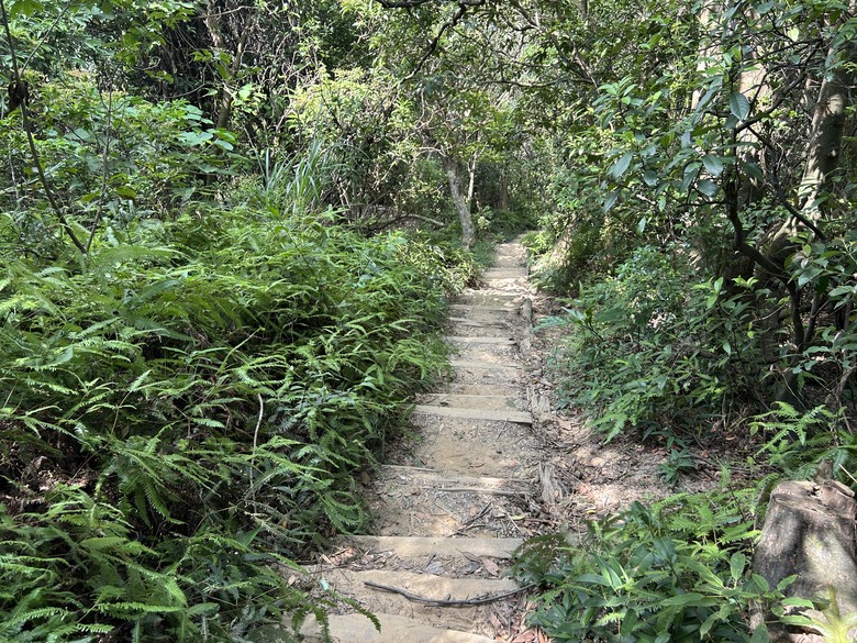 搭 捷 運 登 走 劍 潭 山 親 山 步 道