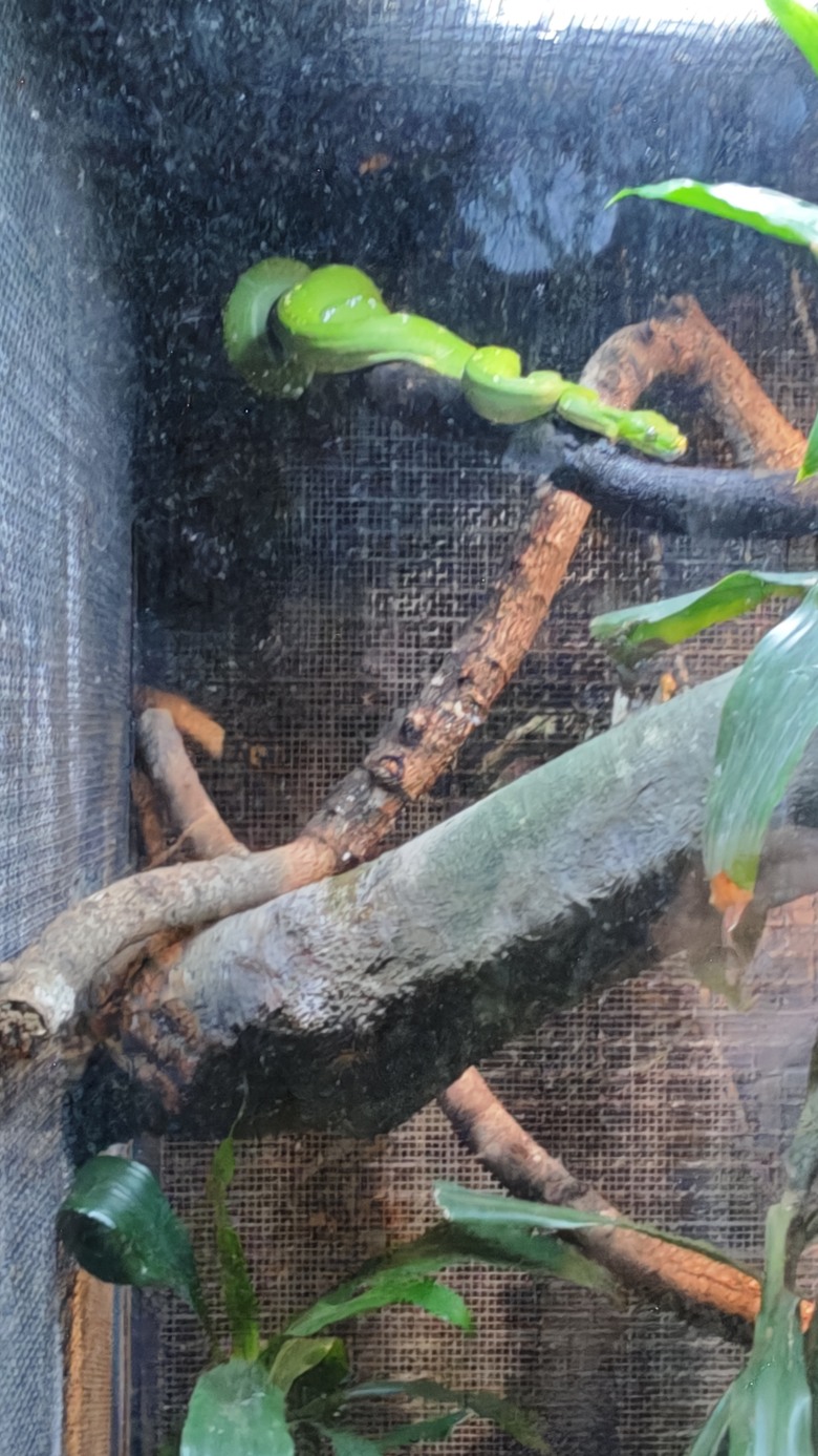 另類的父親節 - 台北市立動物園 "夜之動物園" 遊記分享~