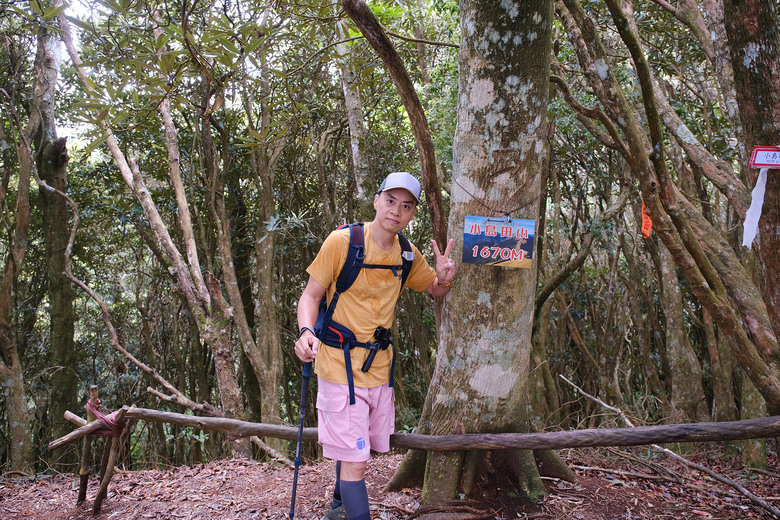 【高島縱走】走進六星級柳杉森林，一日高台山與島田三山