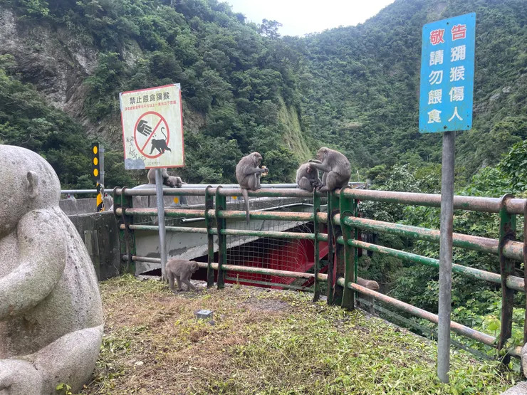 2026/06/27-28 跑步 - 104 公里 - 富里 &rarr;（台23）東河 &rarr;（台9）寧埔 &rarr;（台30）玉里