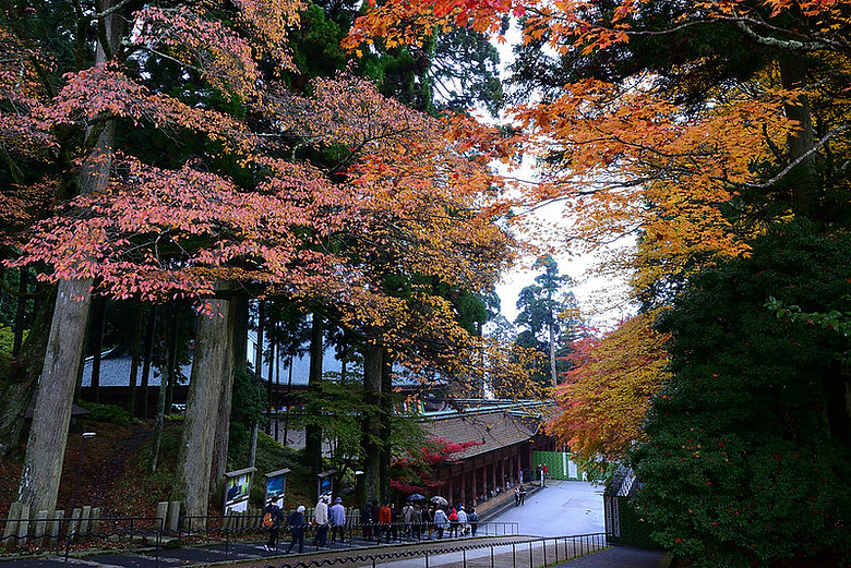 2016 - 秋 - 一個人的旅行 日本關西地區