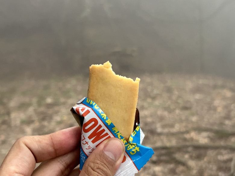 苗 栗 最 高 峰 加 里 山 ( 台 版 富 士 山 )