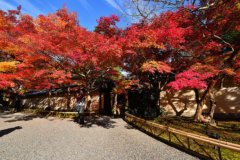 2016 - 秋 - 一個人的旅行 日本關西地區