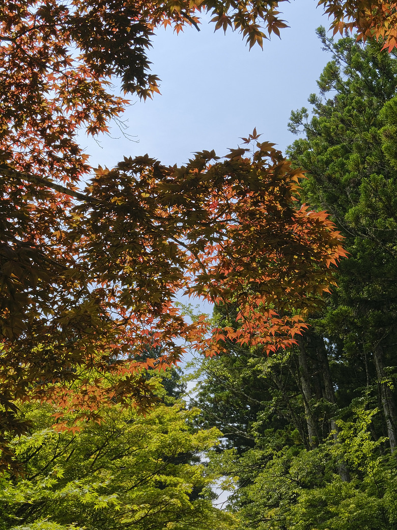 點我看大圖 世界遺產.高野山巡禮
