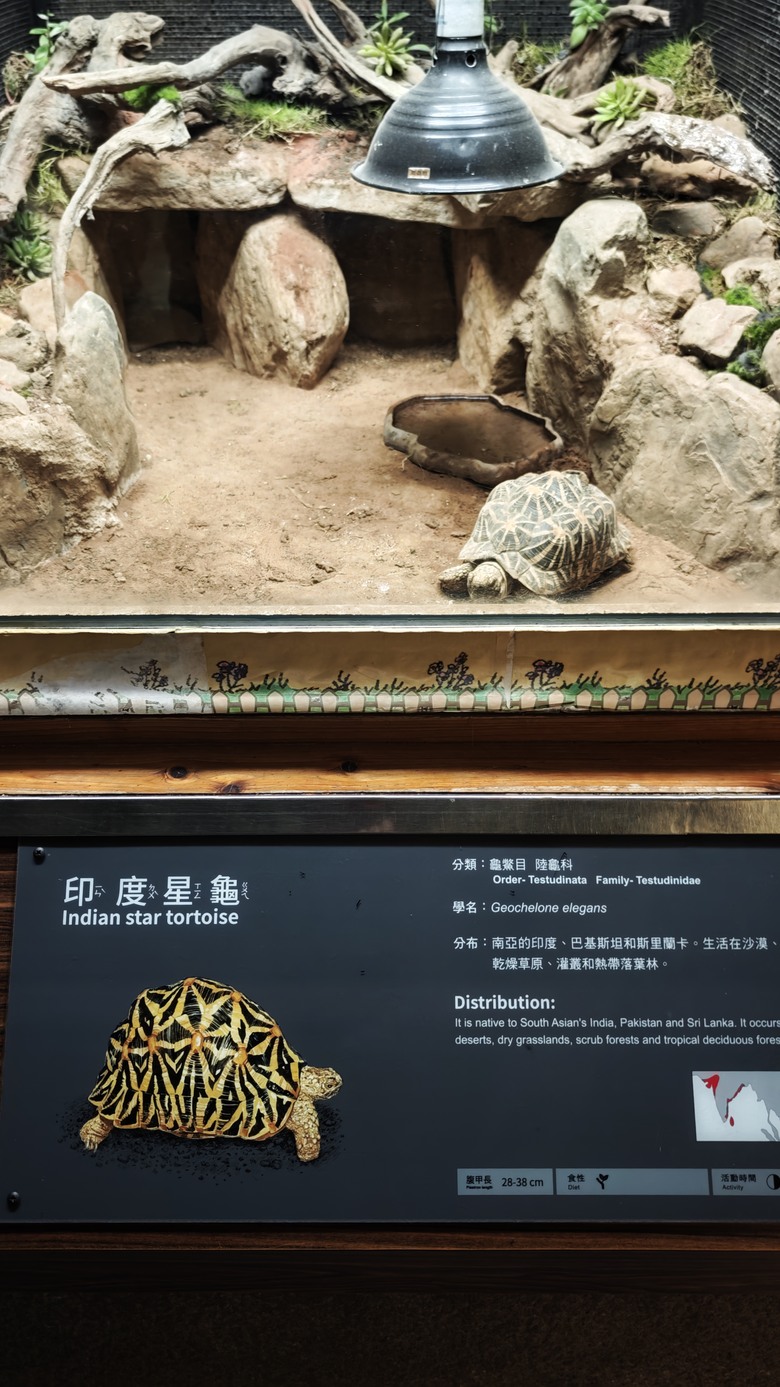 另類的父親節 - 台北市立動物園 "夜之動物園" 遊記分享~