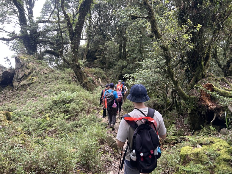 苗 栗 最 高 峰 加 里 山 ( 台 版 富 士 山 )