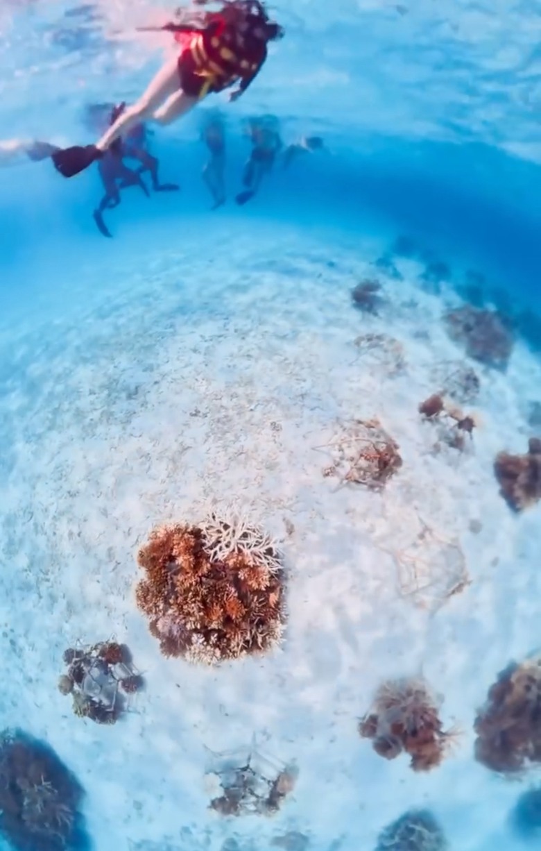把馬爾地夫玩成一堂海洋課的度假村：Club Med Kani 卡尼島