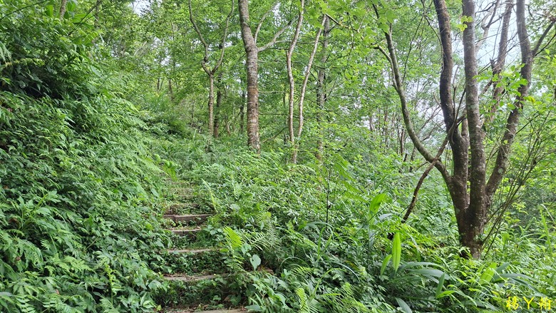 【郊山走走】走上山,近於水:登上戰略要地枕頭山,探尋依山傍水的薑母島