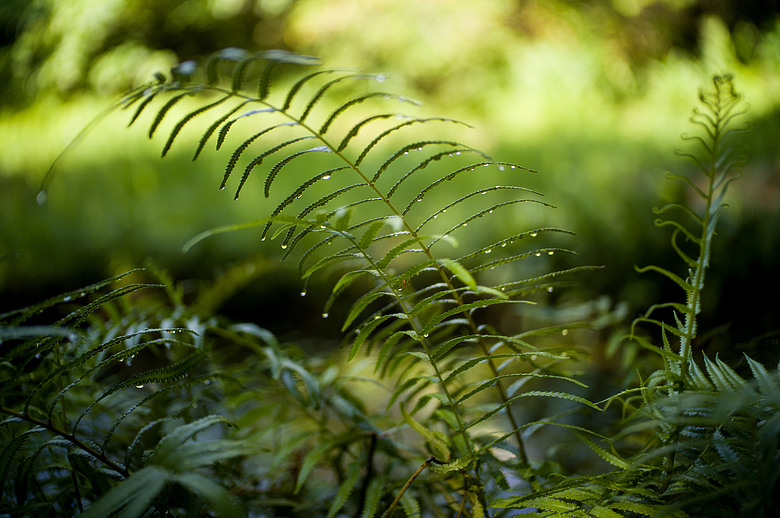 Leica Noctilux-M 35mm f1.2 簡單使用分享