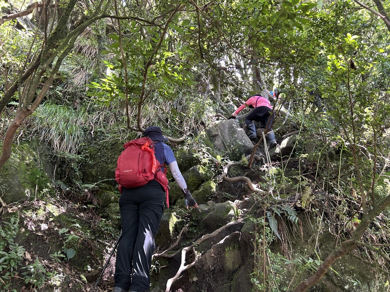 苗 栗 最 高 峰 加 里 山 ( 台 版 富 士 山 )