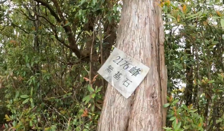 【谷關七雄】單日「蝶夢八唐」到底多硬？走完蝴蝶谷，經過夢幻谷，以為陡完八仙山就解脫？