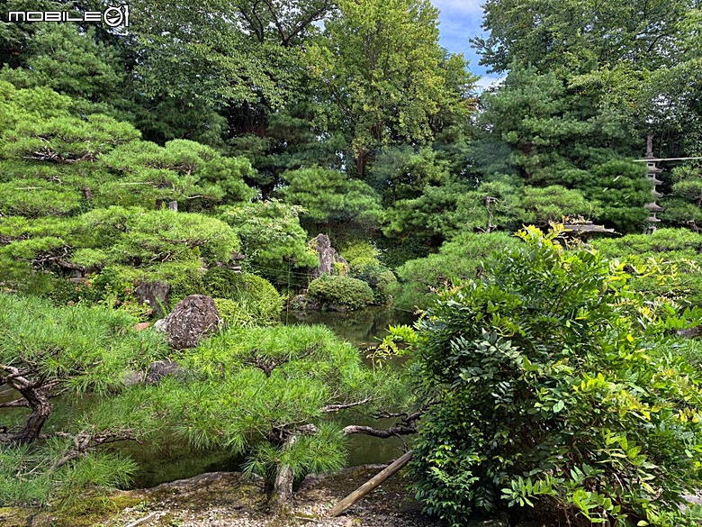 銀山溫泉、寶珠山 立石寺｜山形山寺、将棋むら (株)天童タワー(天童將棋村)、仲野觀光菓樹園採水蜜桃 — 2026夏末日本東北4日員旅之一【山形県篇】