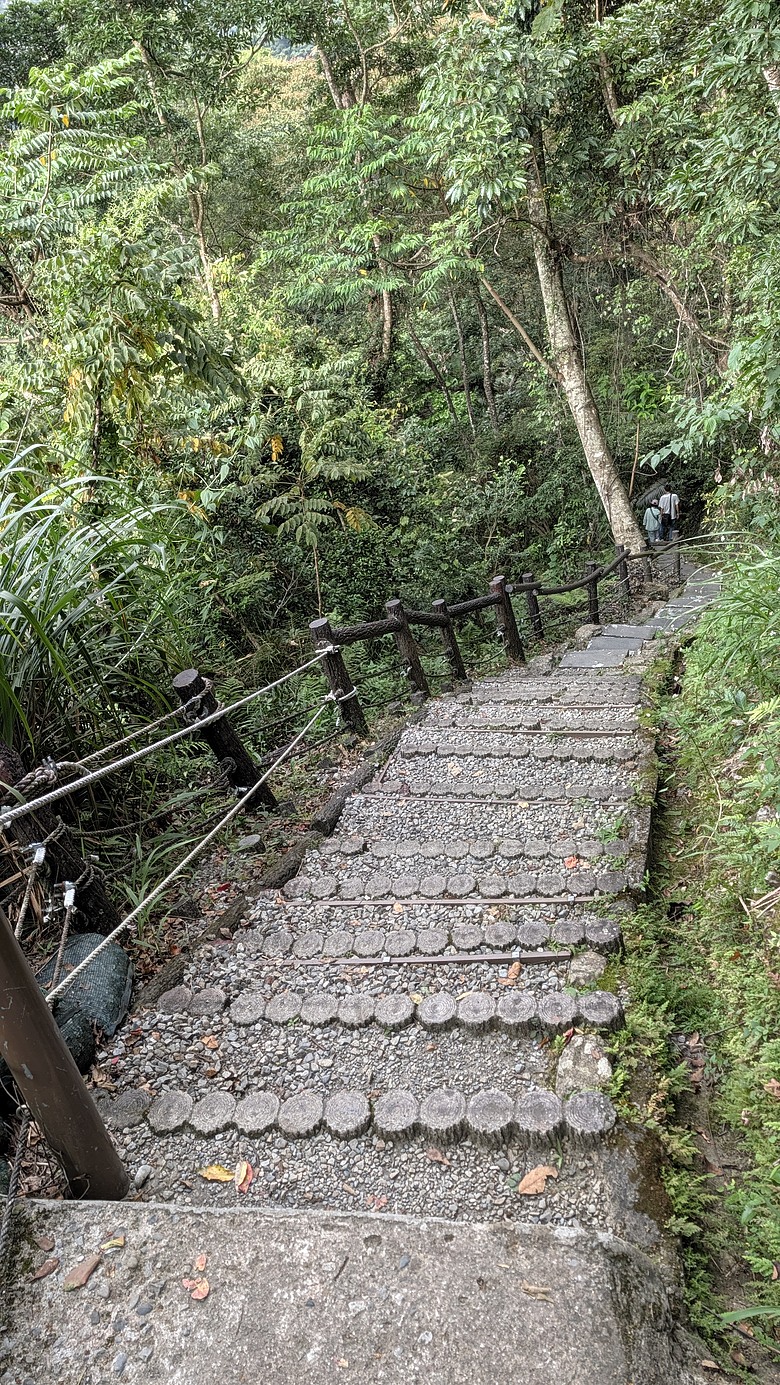 台中谷關二日遊(捎來步道、東豐綠色隧道、仙山森林遊樂區、半山夢工廠)