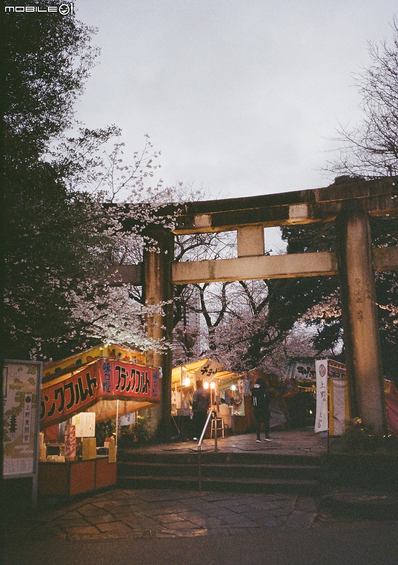Pentax 17 旅行分享 - 2026 3月 Tokyo