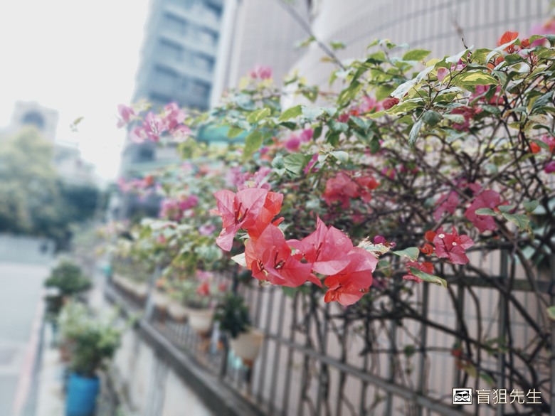 點我看大圖