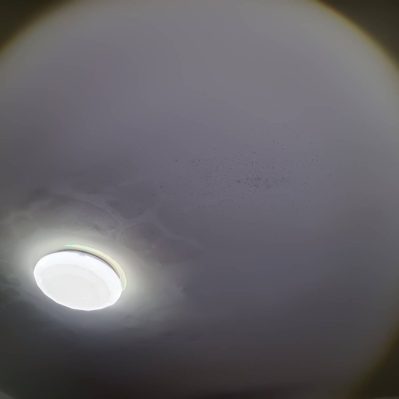天花板潮濕反應請益