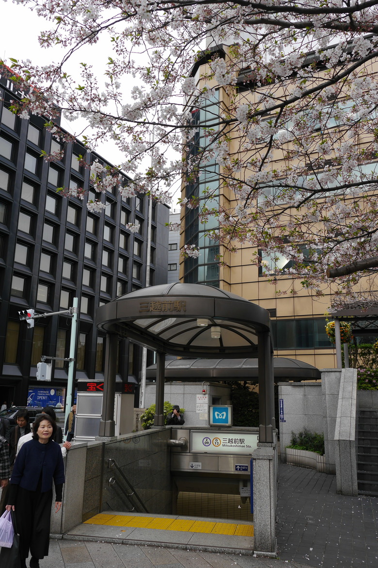 東京行紀錄 日本橋 上野公園不忍池
