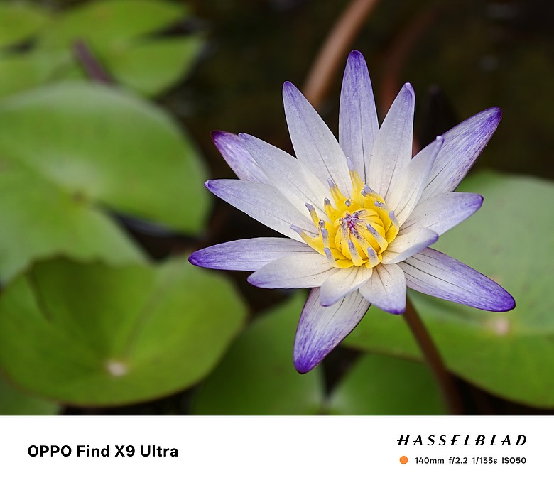 點我看大圖 OPPO Find X9 Ultra 短時間拍攝的實拍分享