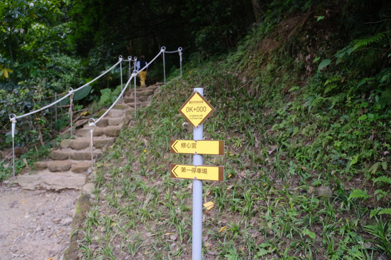 點我看大圖 【新竹飛鳳山】石壁潭山・中坑山・少見美麗大板根樹