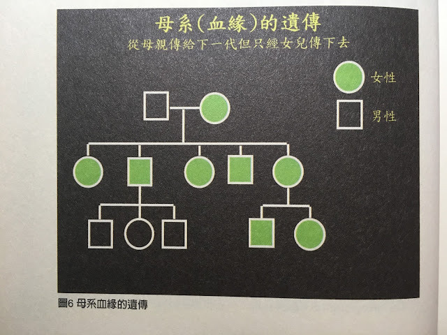 台灣近90%都是南島平埔血統～是4億南島人的起源，為何卻說漢語？