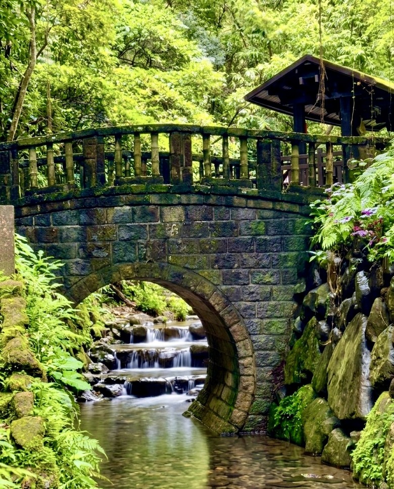 台北森林秘境 ｜ 虎山生態步道