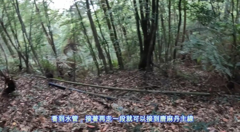 【谷關七雄】單日「蝶夢八唐」到底多硬？走完蝴蝶谷，經過夢幻谷，以為陡完八仙山就解脫？