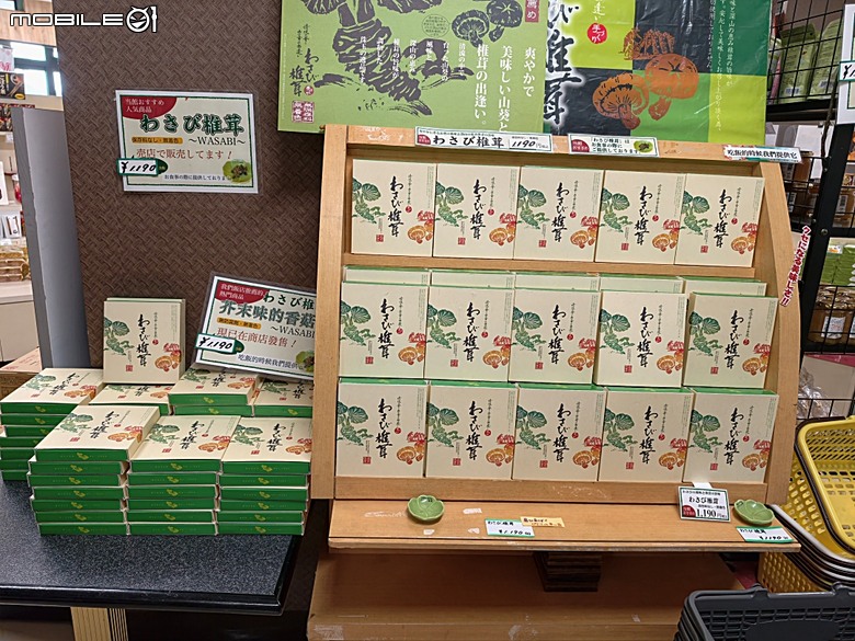 銀山溫泉、寶珠山 立石寺｜山形山寺、将棋むら (株)天童タワー(天童將棋村)、仲野觀光菓樹園採水蜜桃 — 2026夏末日本東北4日員旅之一【山形県篇】