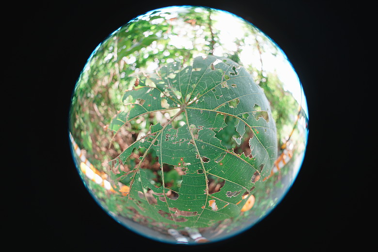 Sony FE 8-14mm F3.5 Fisheye G 評測報告｜314g 輕巧便攜！圓形與對角魚眼「雙視角通吃」