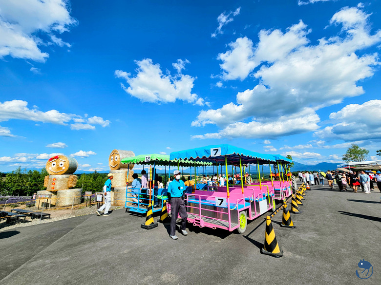 點我看大圖 日本-北海道上川|*如果夏天有顏色 那一定是北海道的樣子* 美瑛四季彩之丘 展望花畑 四季彩の丘