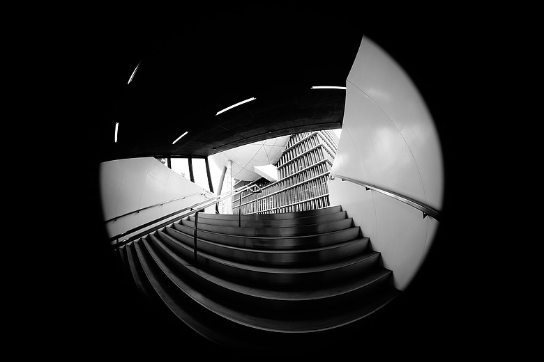 Sony FE 8-14mm F3.5 Fisheye G 評測報告｜314g 輕巧便攜！圓形與對角魚眼「雙視角通吃」