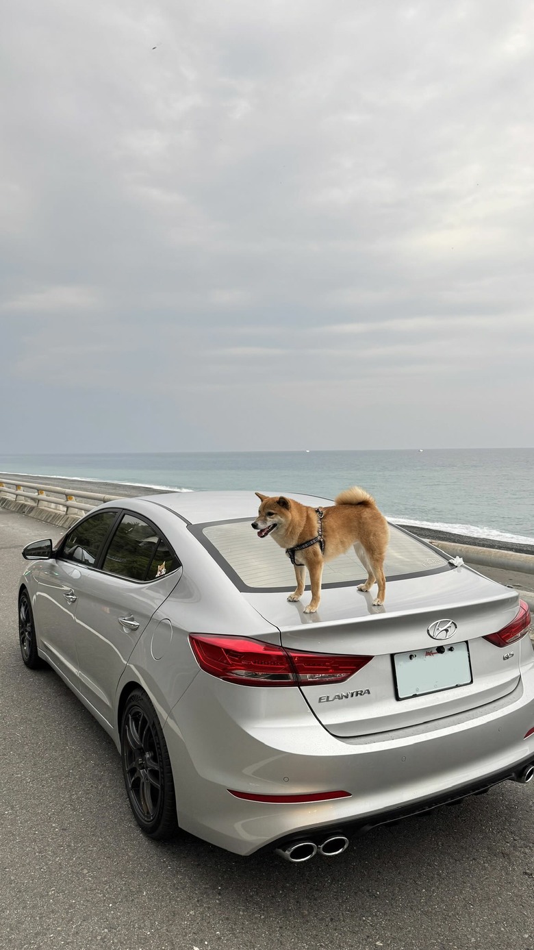 Hyundai Elantra 關箱文