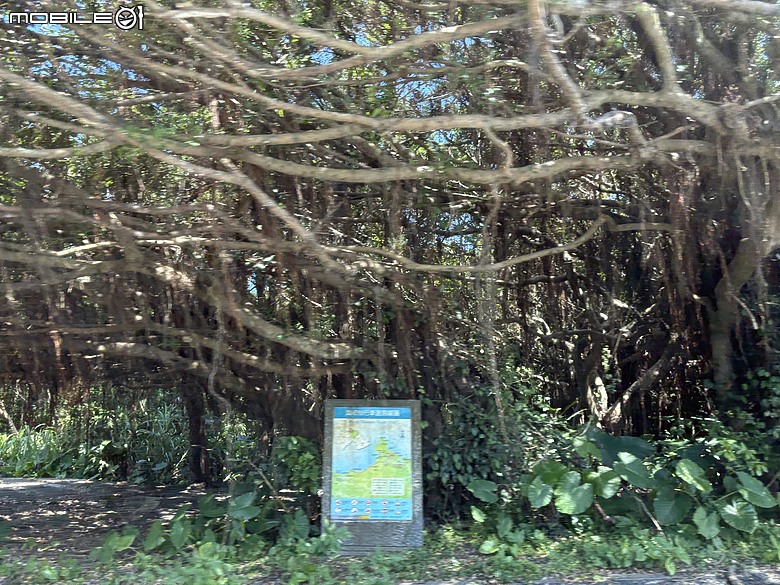 【北海岸親子踏青】走到台灣最北端上了一堂戶外課｜富貴角公園、老梅迷宮、綠石槽與富貴角燈塔