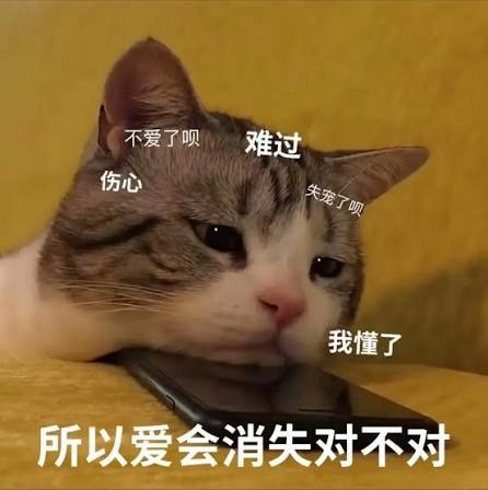 英媒：貝安德政府拒絕12名涉反修例示威被定罪港人BNO簽證申請