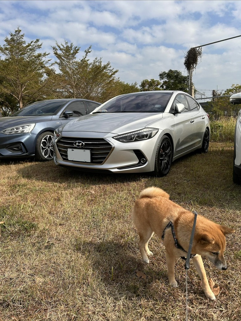 Hyundai Elantra 關箱文