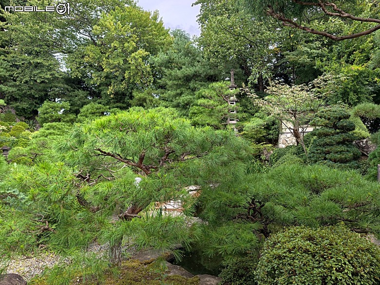 銀山溫泉、寶珠山 立石寺｜山形山寺、将棋むら (株)天童タワー(天童將棋村)、仲野觀光菓樹園採水蜜桃 — 2026夏末日本東北4日員旅之一【山形県篇】
