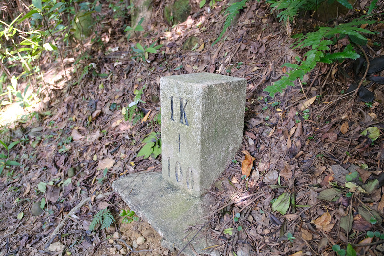 點我看大圖 【新竹飛鳳山】石壁潭山・中坑山・少見美麗大板根樹