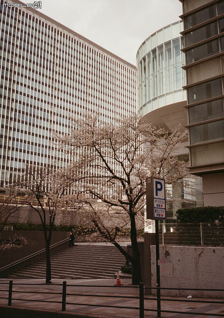 Pentax 17 旅行分享 - 2026 3月 Tokyo