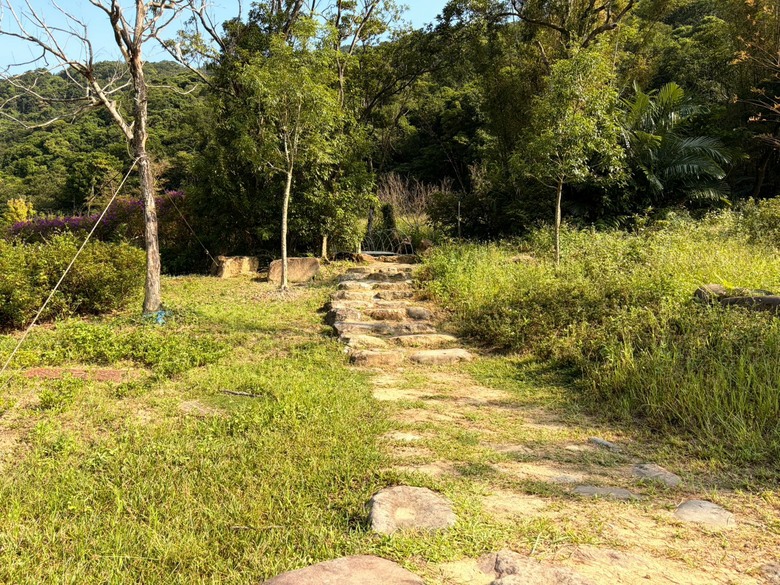 遠離城市喧囂｜走進山林秘境，享受療癒自然好時光