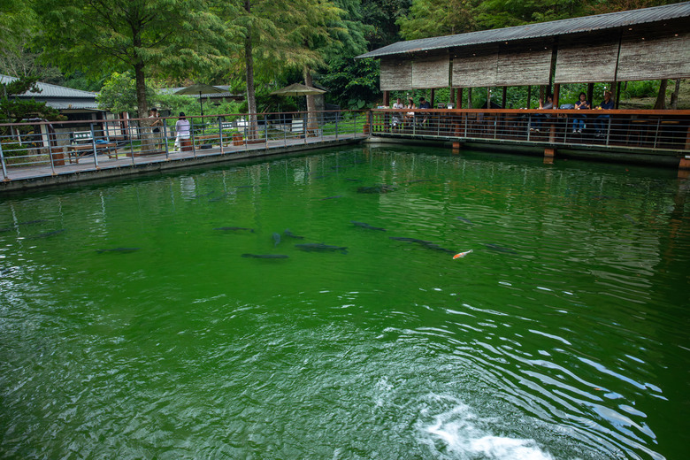 點我看大圖 南投療癒一日遊:有山水、有秘境,還有吃不停的在地美食!