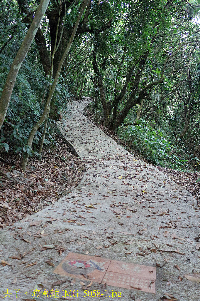 點我看大圖 走進永祿古道 一趟山歌、客韻與山林交織的「好嗨森」健行體驗