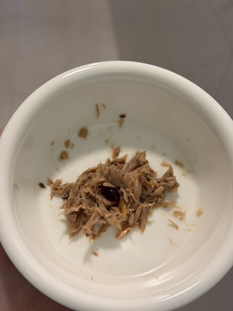 分享貓咪餵藥的幾個方式（安適得）