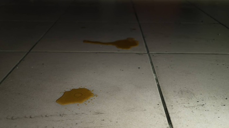 車底下這灘是什麼呢？