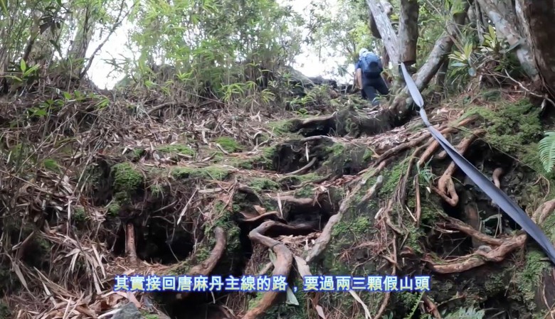 【谷關七雄】單日「蝶夢八唐」到底多硬？走完蝴蝶谷，經過夢幻谷，以為陡完八仙山就解脫？